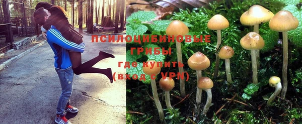 прущий лед Алзамай