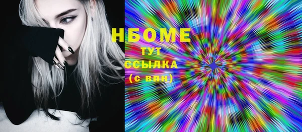 прущий лед Алзамай