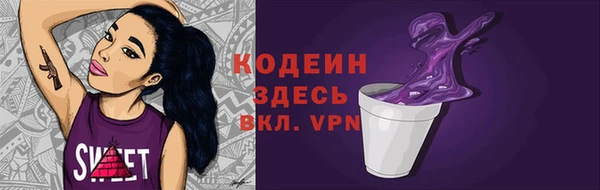 прущий лед Алзамай