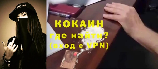прущий лед Алзамай