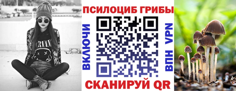 где купить наркотик  Дедовск  darknet наркотические препараты  Псилоцибиновые грибы прущие грибы 