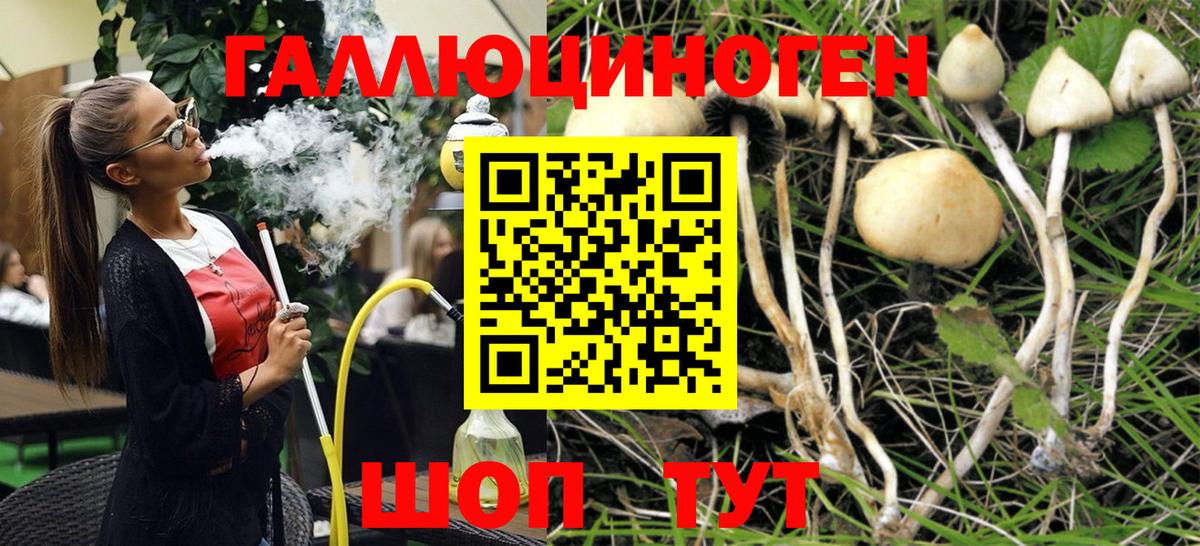 Галлюциногенные грибы ЛСД Дедовск