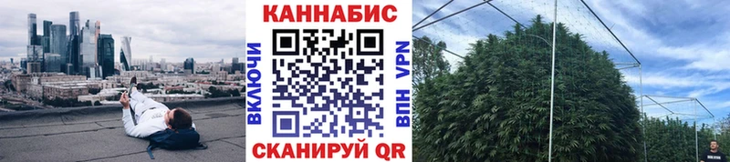мега зеркало  Дедовск  Бошки марихуана сатива 